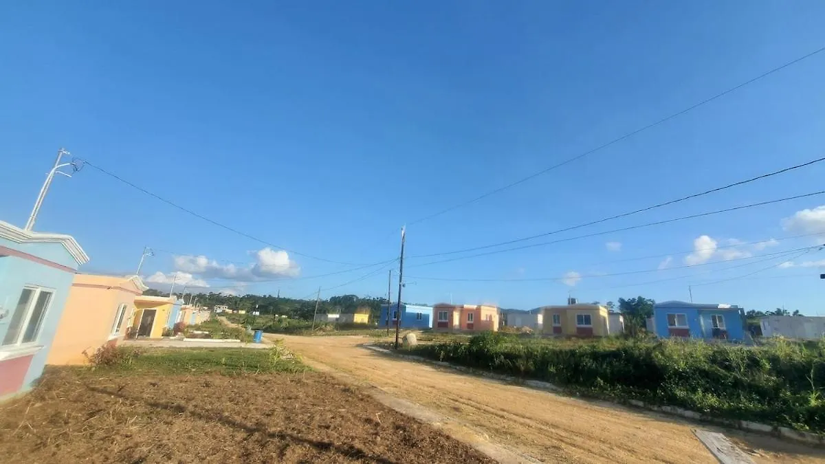 Little Yellow House Green Island جامايكا